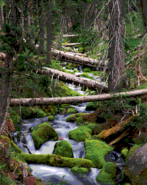 Country Star RV Park scenic byway